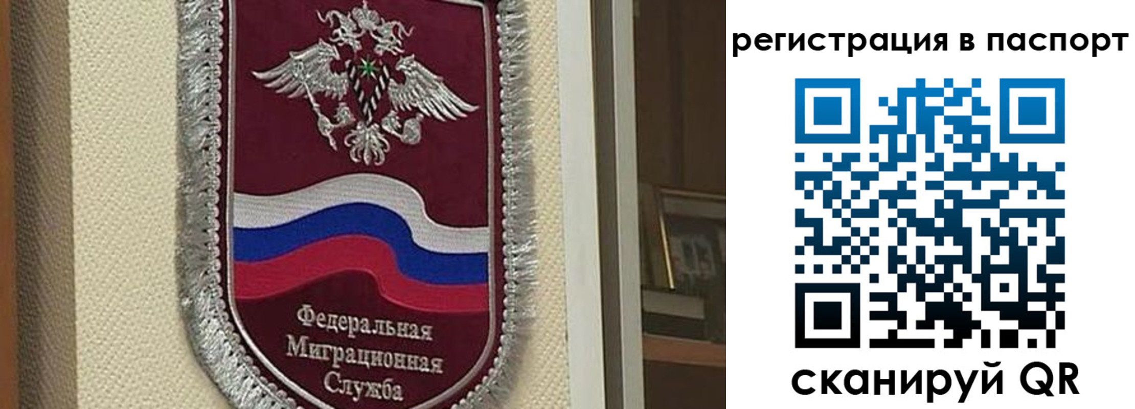 прописка законно в Горняке